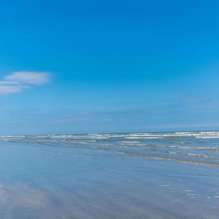 Dog-Friendly Stylish Super Cozy Home Fabulous Patio And Perfect Location Galveston Eksteriør billede